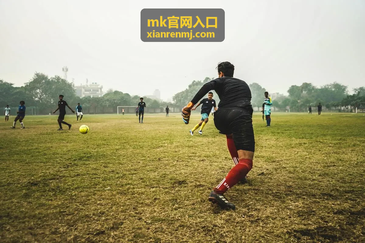 mk官网入口 异常情况排查示意